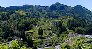 Matsutani Rice Terraces