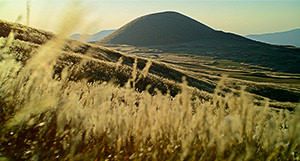 [tw] autumn.logs.log1.img1_alt