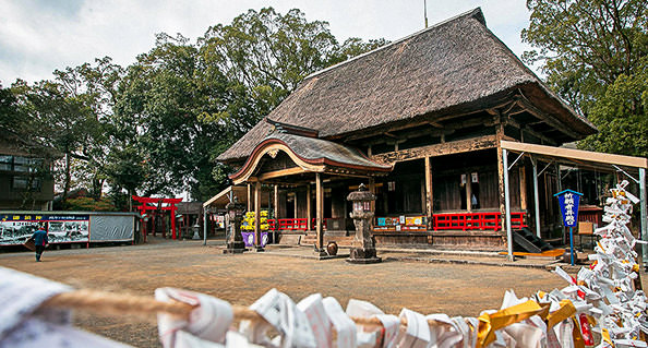 [tw] autumn.logs.log2.mv_alt