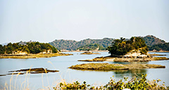 [tw] spring.logs.log1.mv_alt