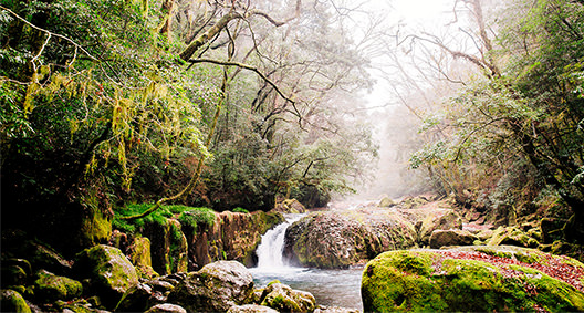 [tw] spring.logs.log2.mv_alt