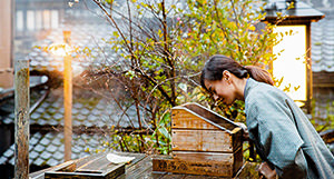 [tw] winter.logs.log1.img1_alt