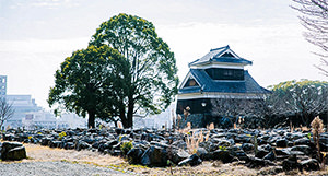 [tw] winter.logs.log2.img1_alt