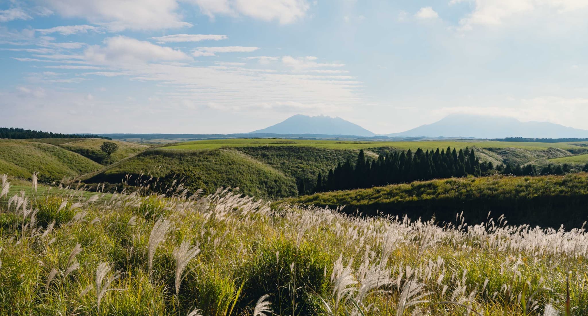 熊本の食の魅力を新境地へ