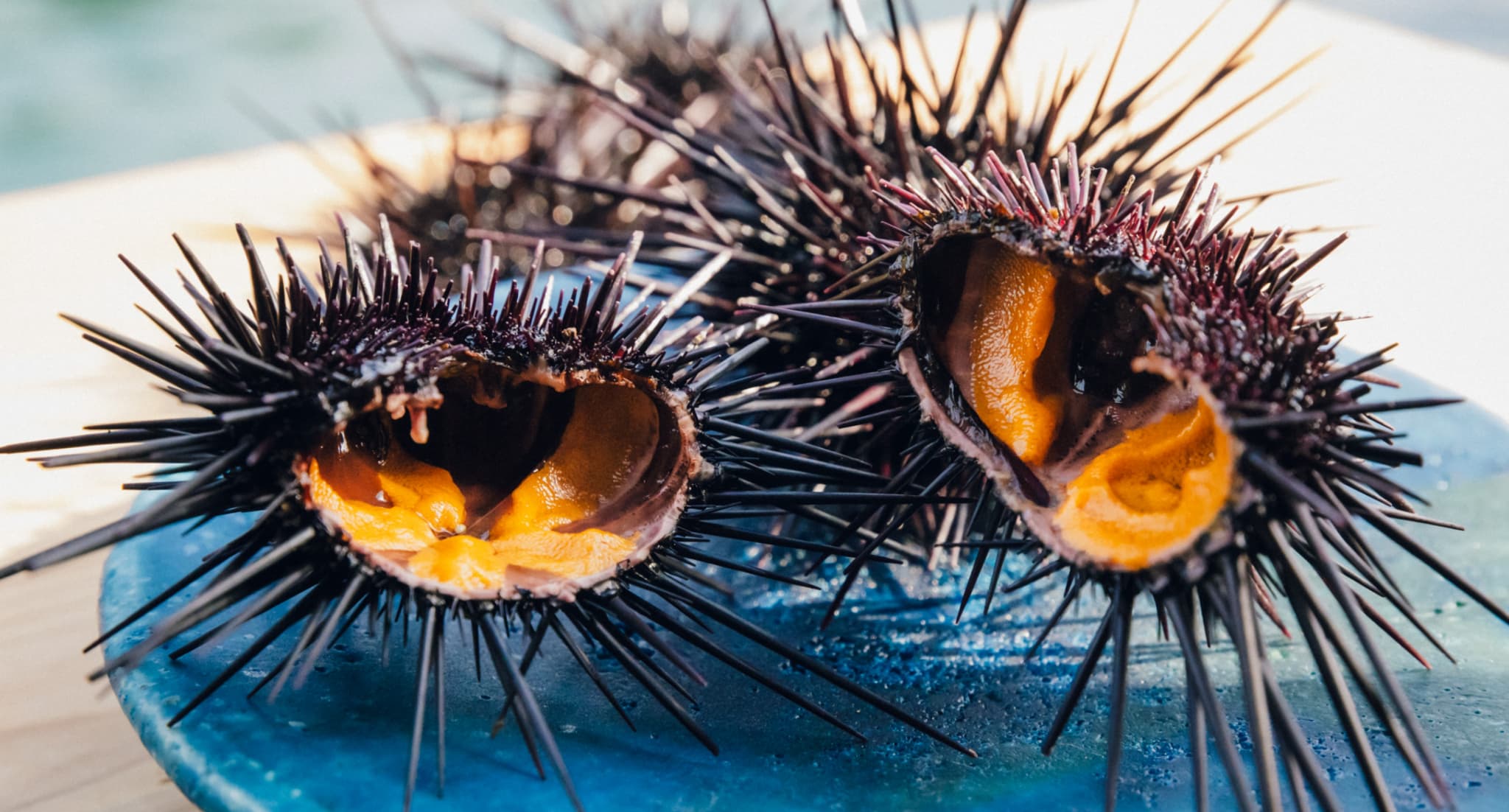 Premium chefs of Kumamoto