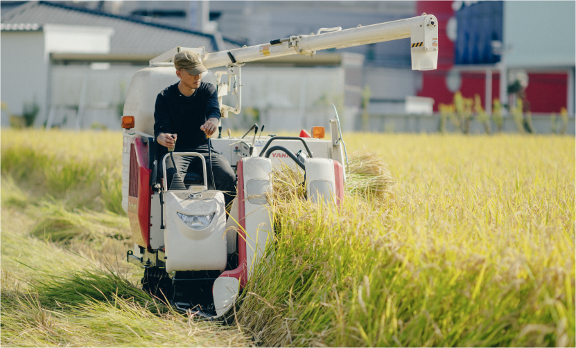 土鍋で炊く白ごはん