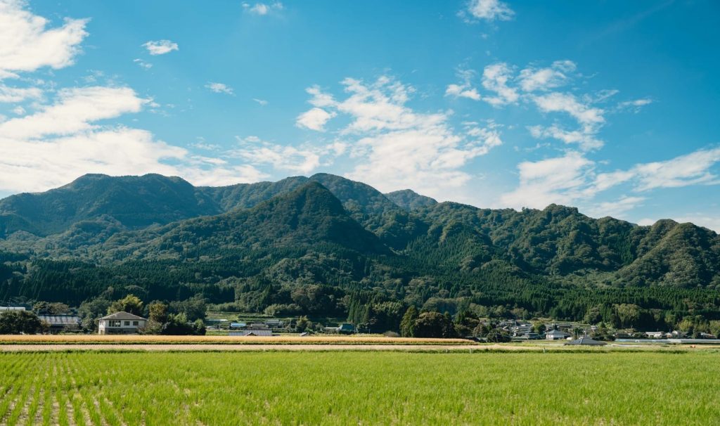 阿蘇五岳と草原