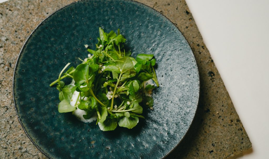 奥阿蘇鱒のファルシ クレソンのソース