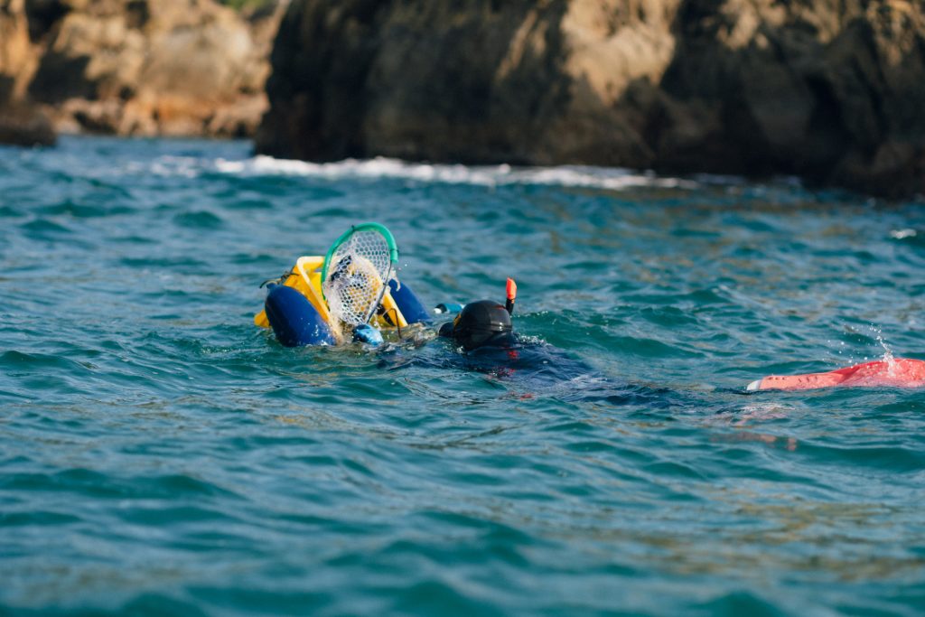 宮下さん自ら素潜りで捕ったウニ