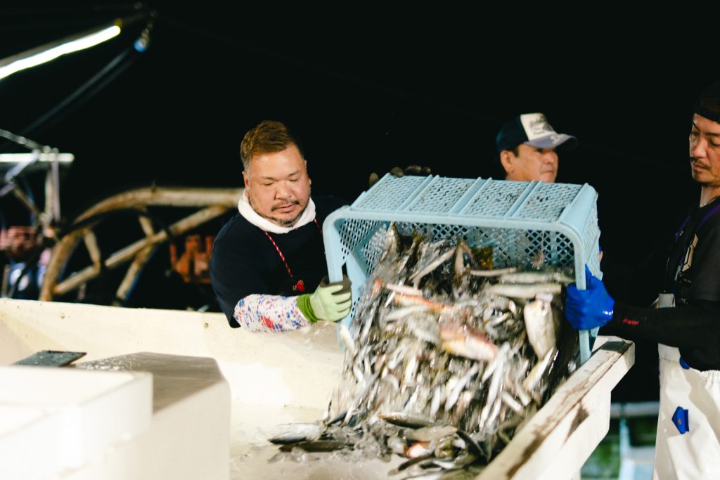 漁港からの魚たち