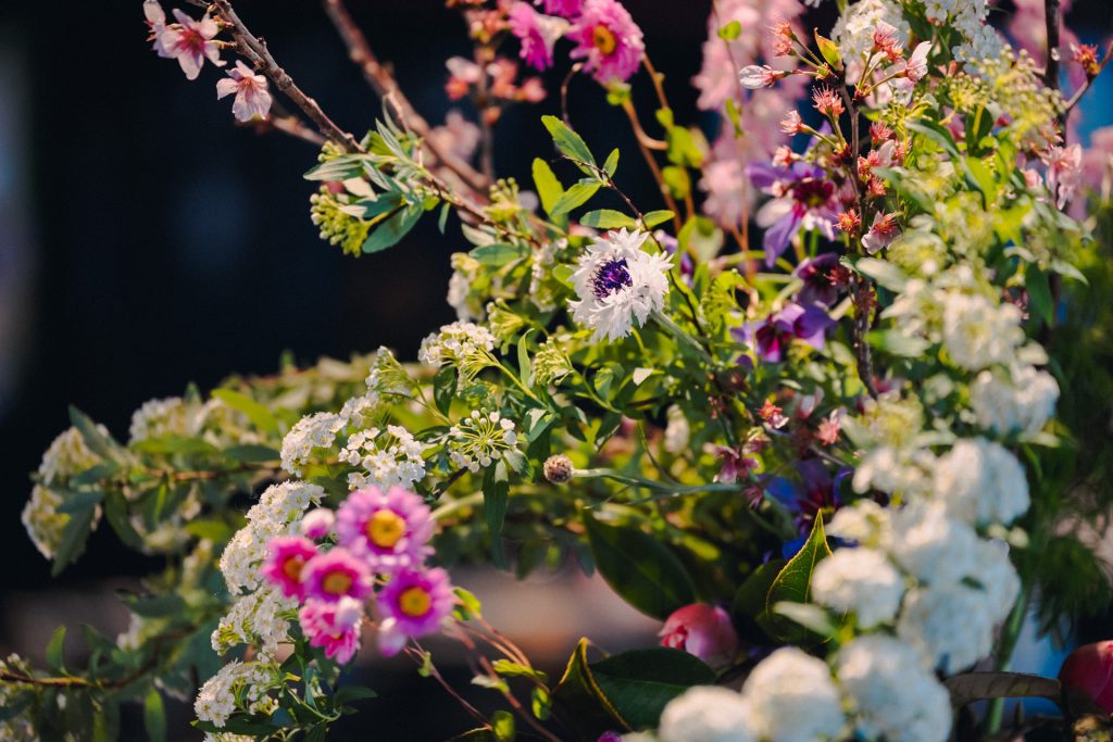 岳間茶寮 好信楽・ヒロトガワさん