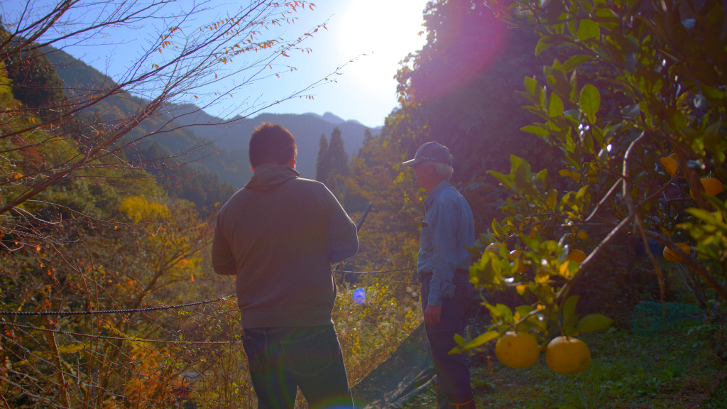 五木村の森とくねぶ