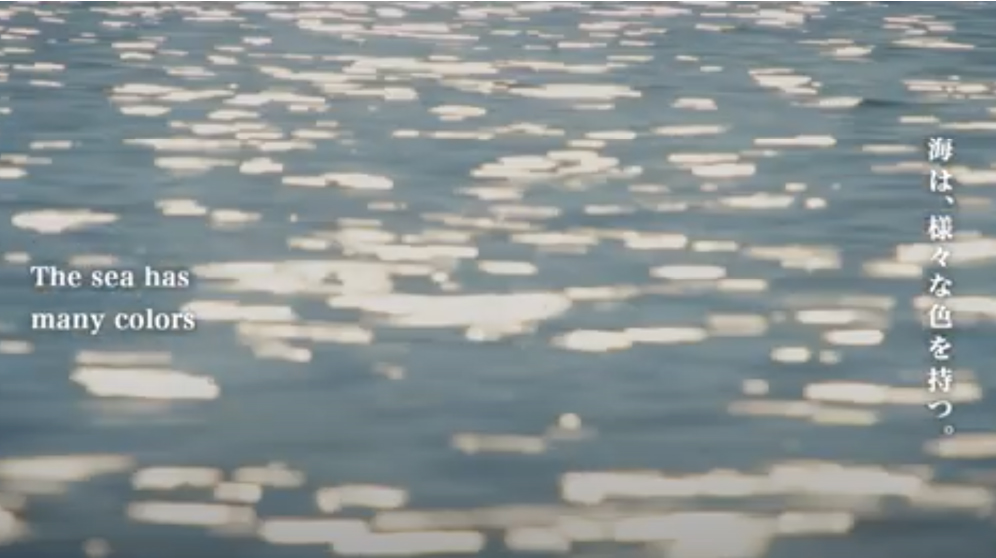 歴史と自然、そして今の﨑津を、共に味わう