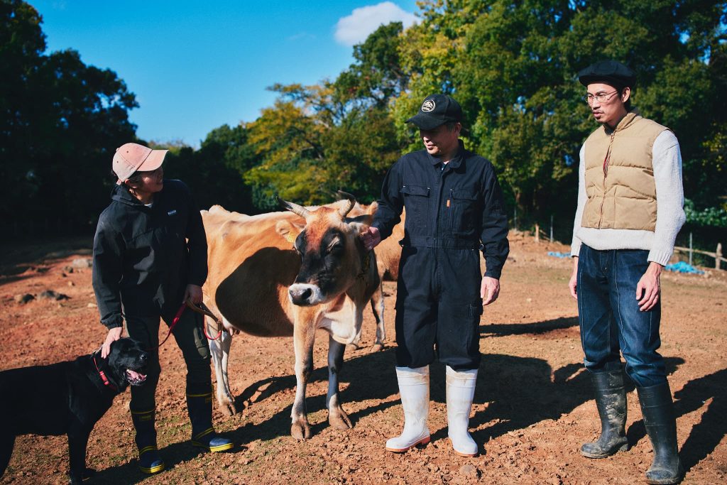 矢野さんに甘えるジャージー牛
