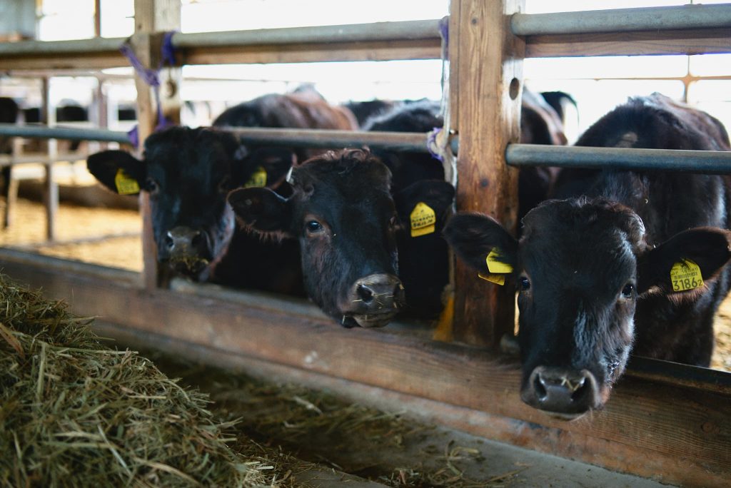 増永優樹さん・直子さん夫妻