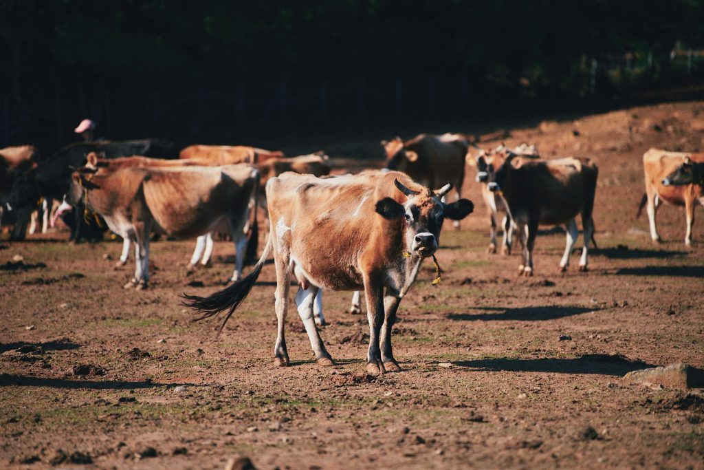 最年長のみくちゃん