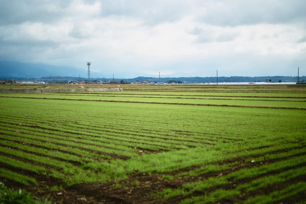 循環型有機農畜産業の現場