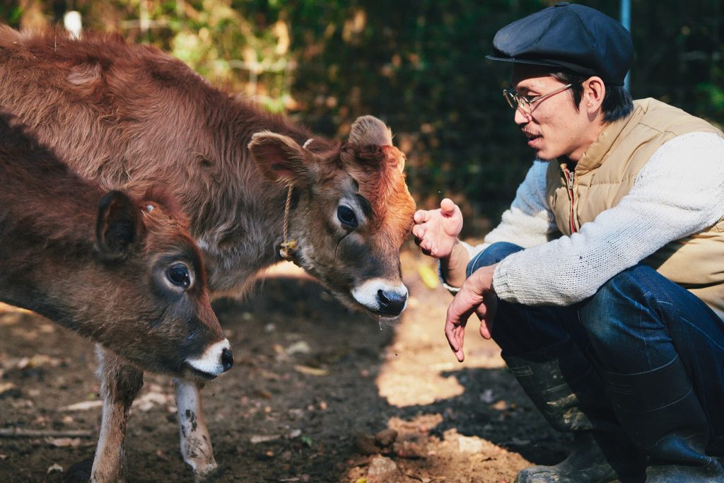 仔牛たちと矢野さん