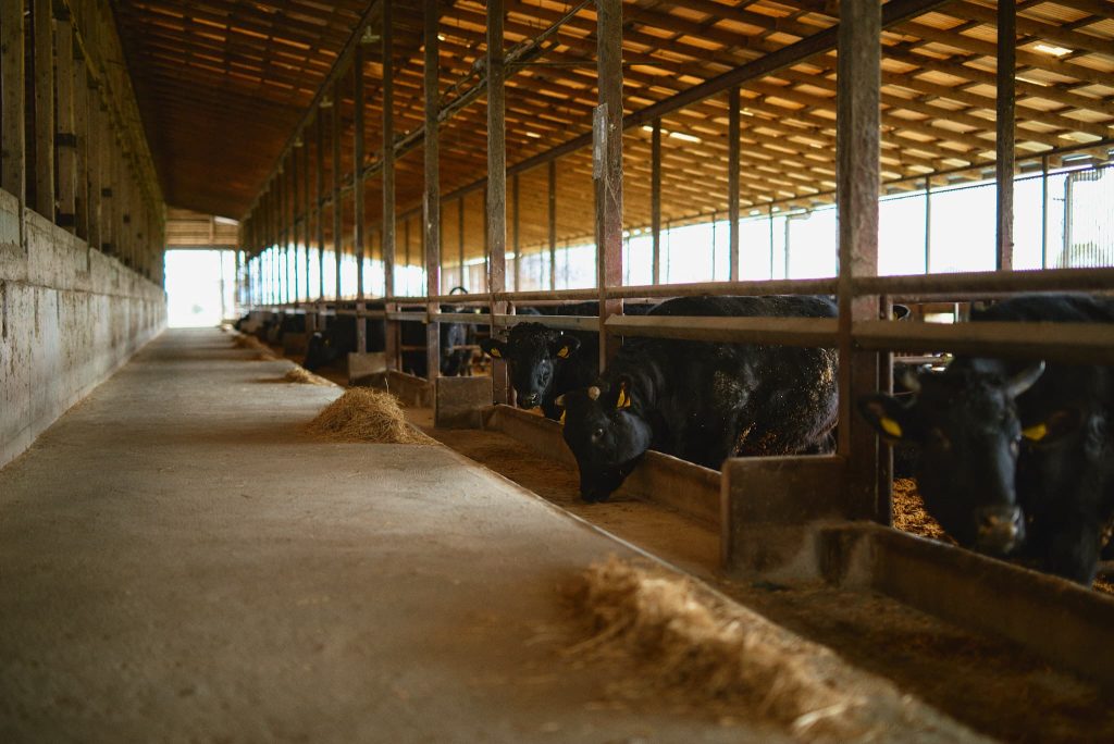 菊池ユートピア農場