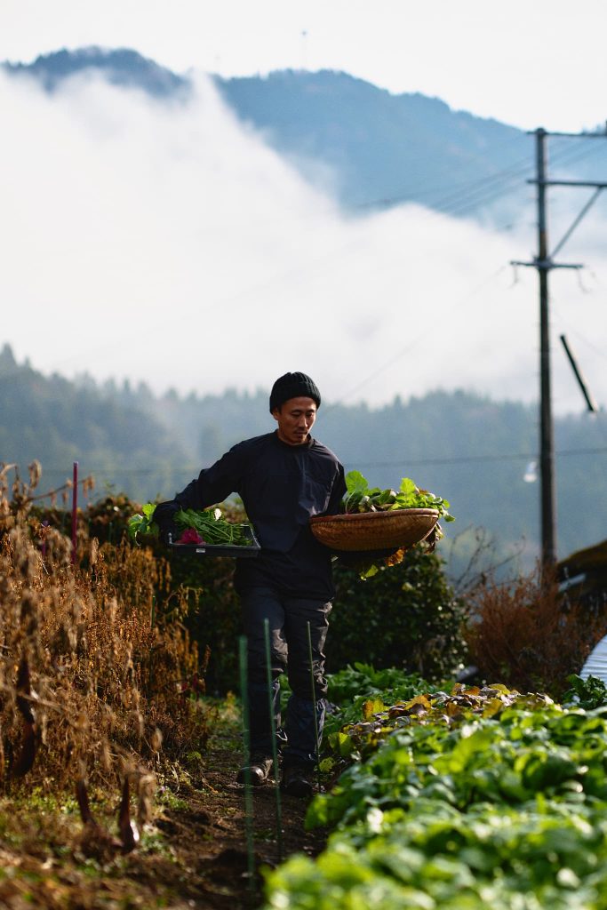 池田さんの自家農園