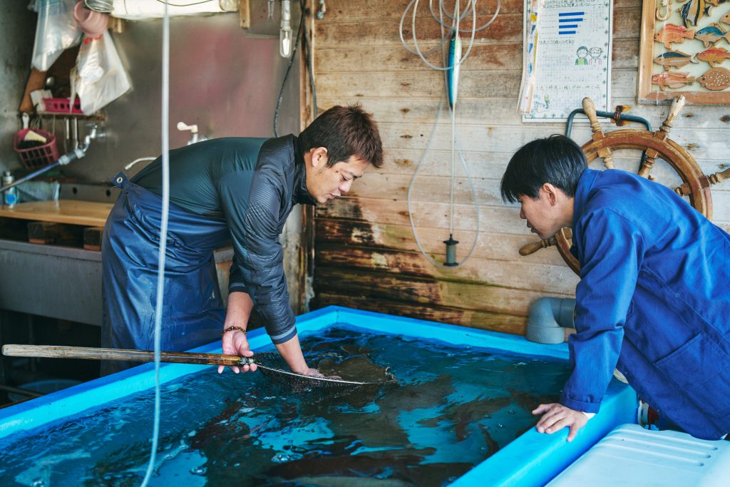 湊鮮魚・赤松大志さん