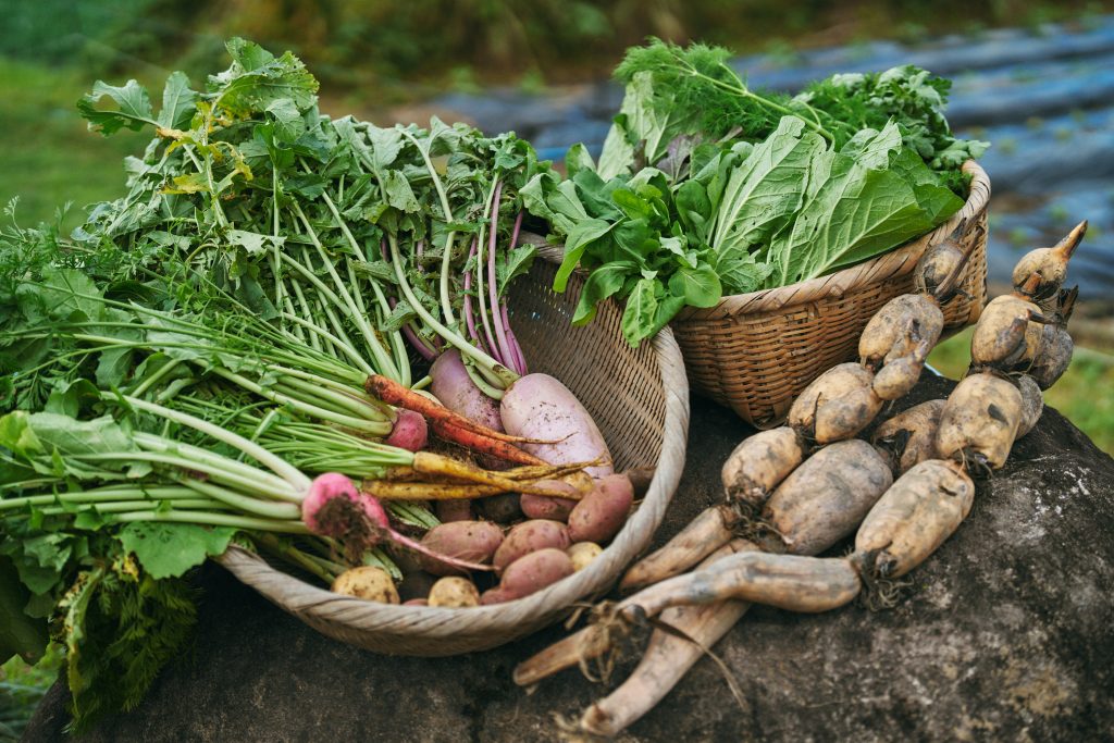 養鶏にもチャレンジ中のH-Farm