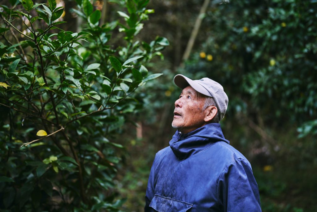 有機栽培のレモン