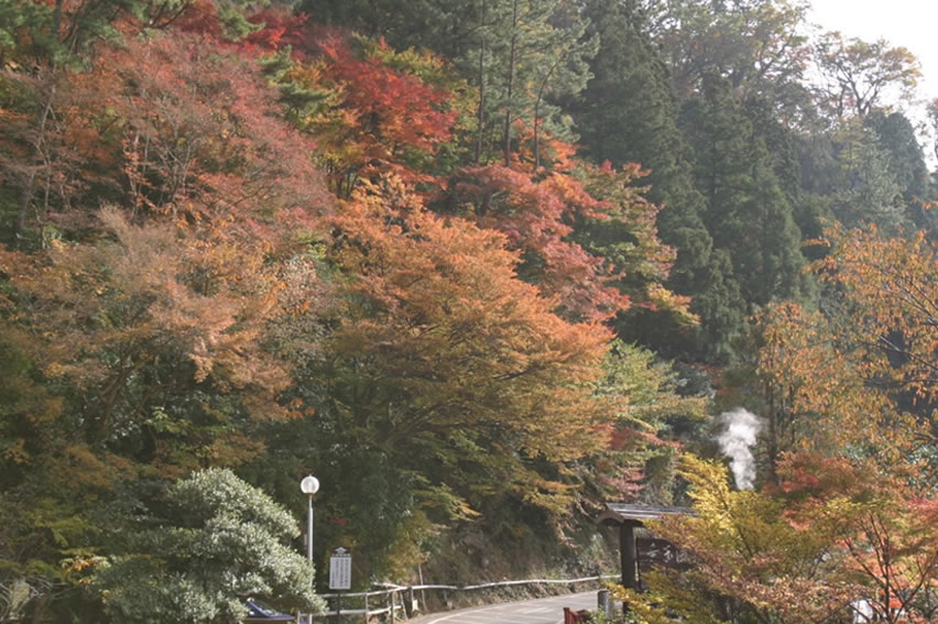 紅葉の情報 公式 熊本県観光サイト もっと もーっと くまもっと