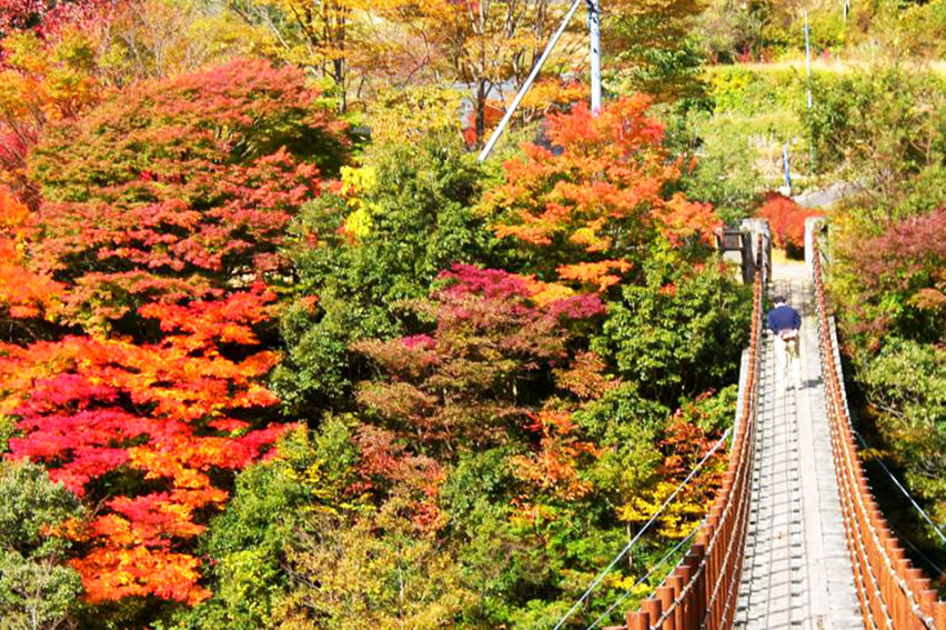 紅葉の情報 公式 熊本県観光サイト もっと もーっと くまもっと