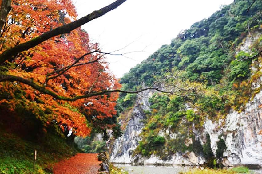 紅葉の情報 公式 熊本県観光サイト もっと もーっと くまもっと