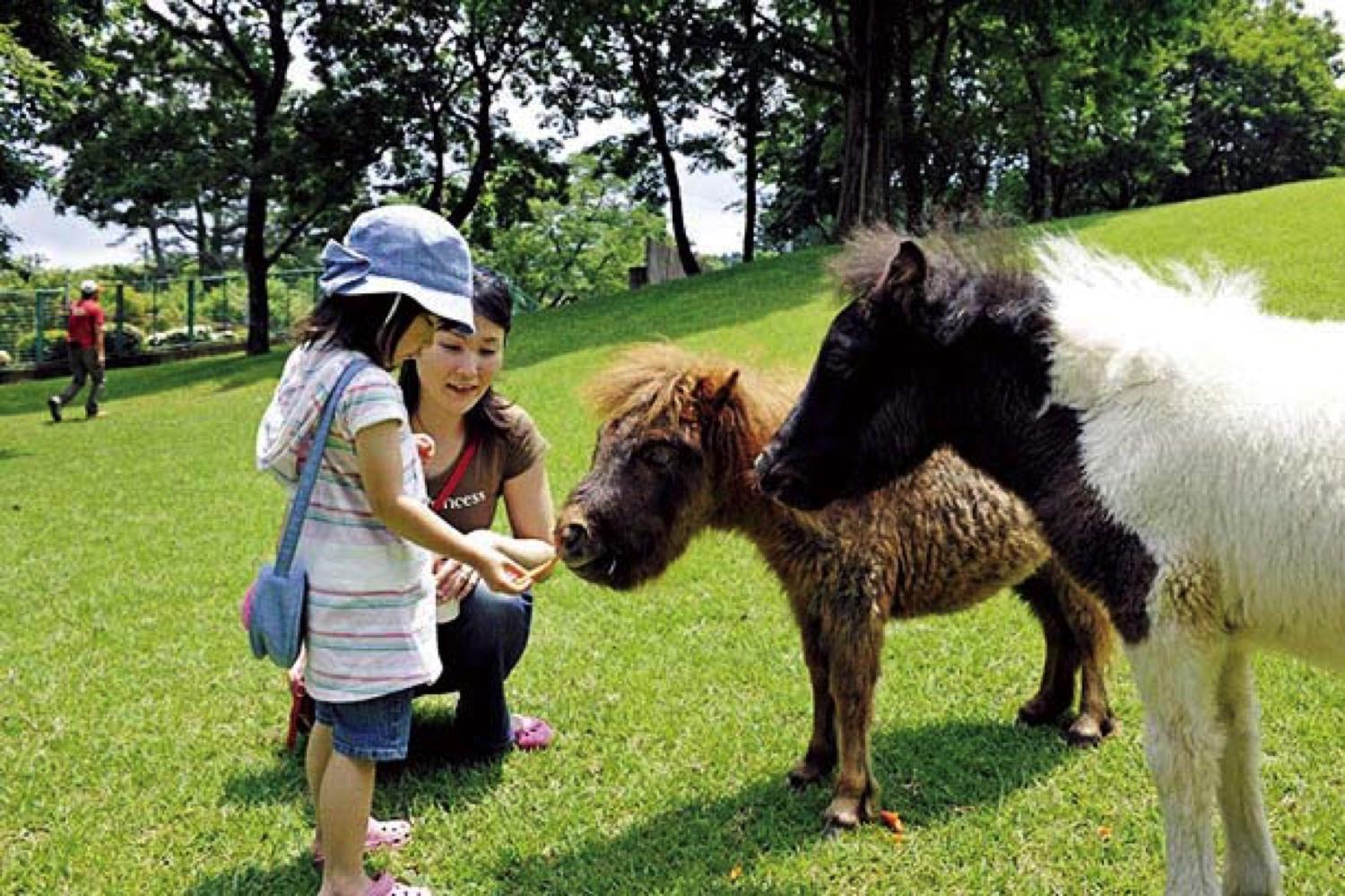 ふれあい動物村