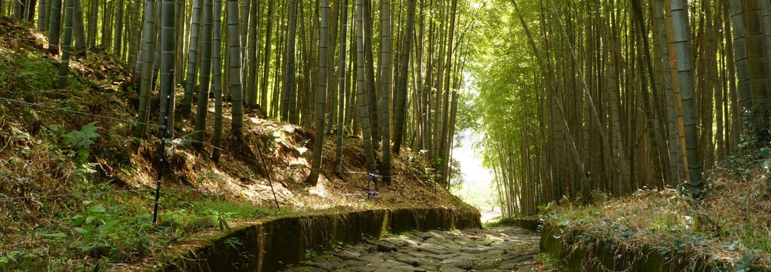 石畳の道の写真